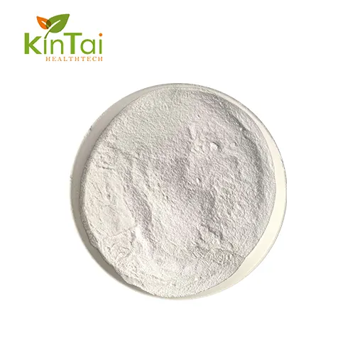 L-Lysine bulk powder